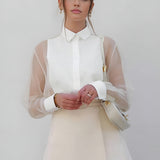 Sheer Sleeve Button Blouse for Elegant Feminine Style