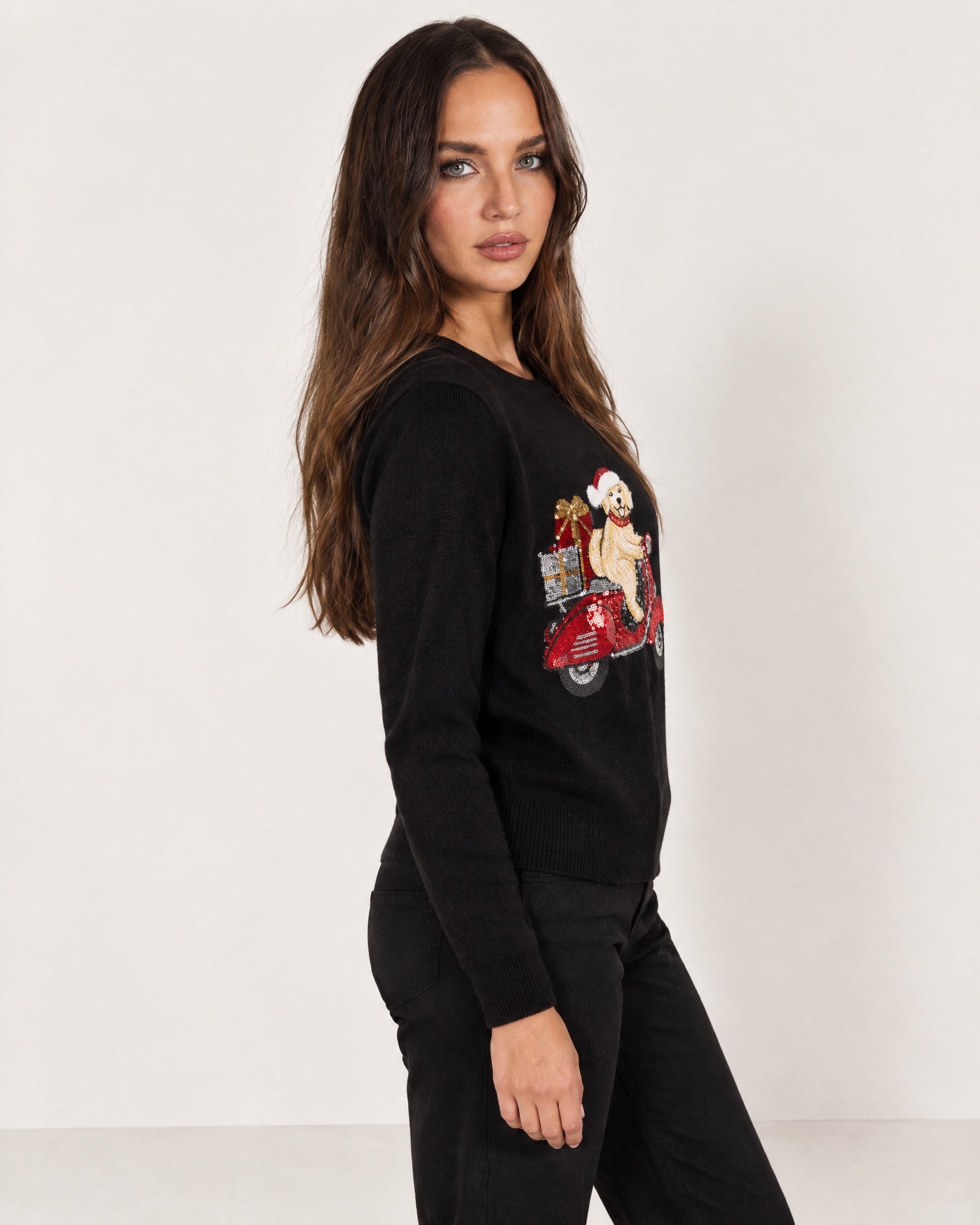 Black Christmas Jumper Dog Scooter Sequin